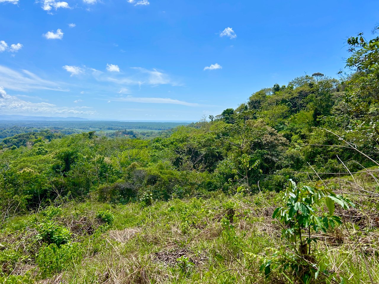 Ocean View Lot in San Buenas, Only $90K & Ready To Build