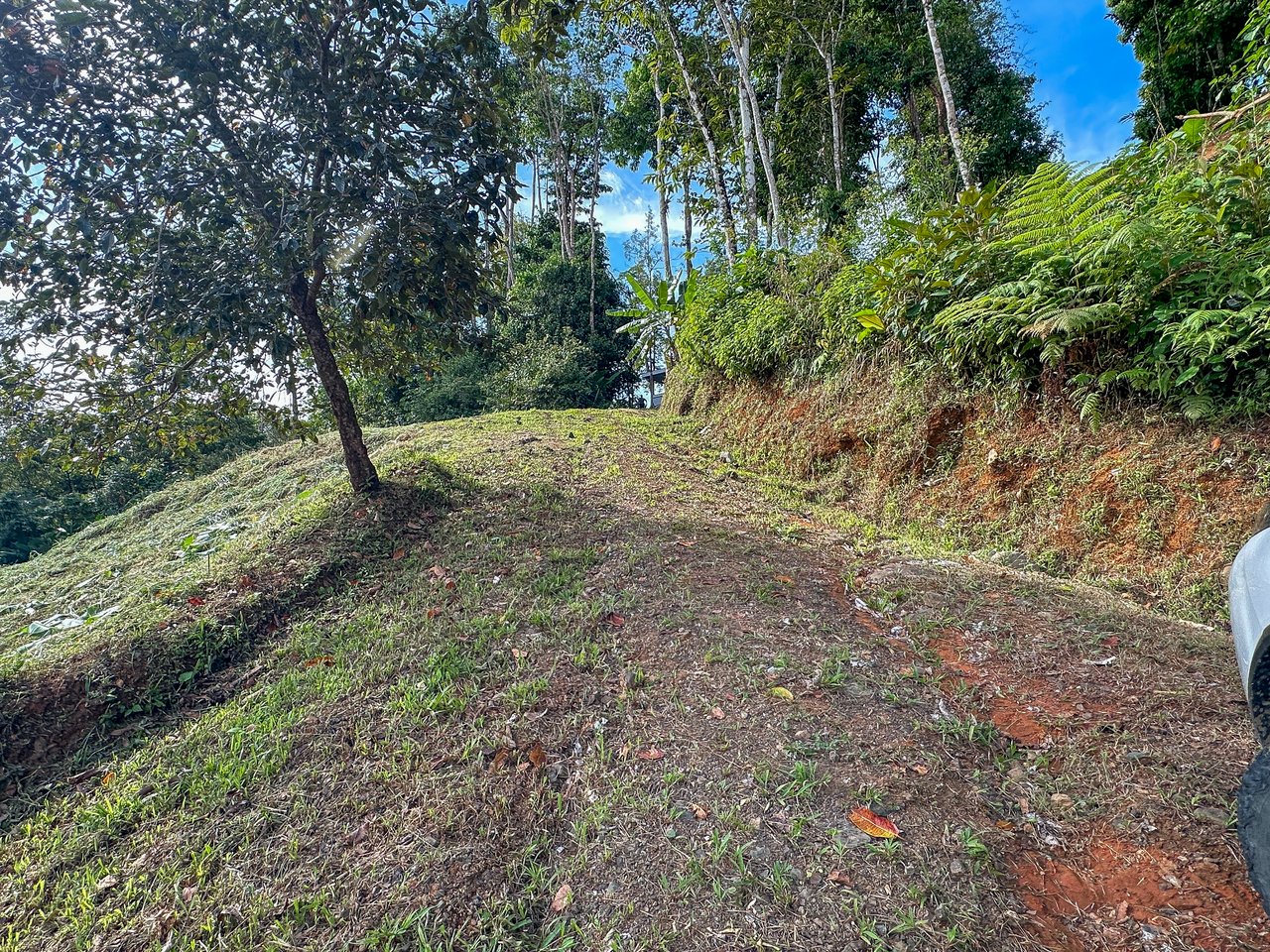 Jungle, Mountain & Valley View Lot with Two Large Plantels, Bordering a Crystal Mountain River with Swimholes & a Waterfall