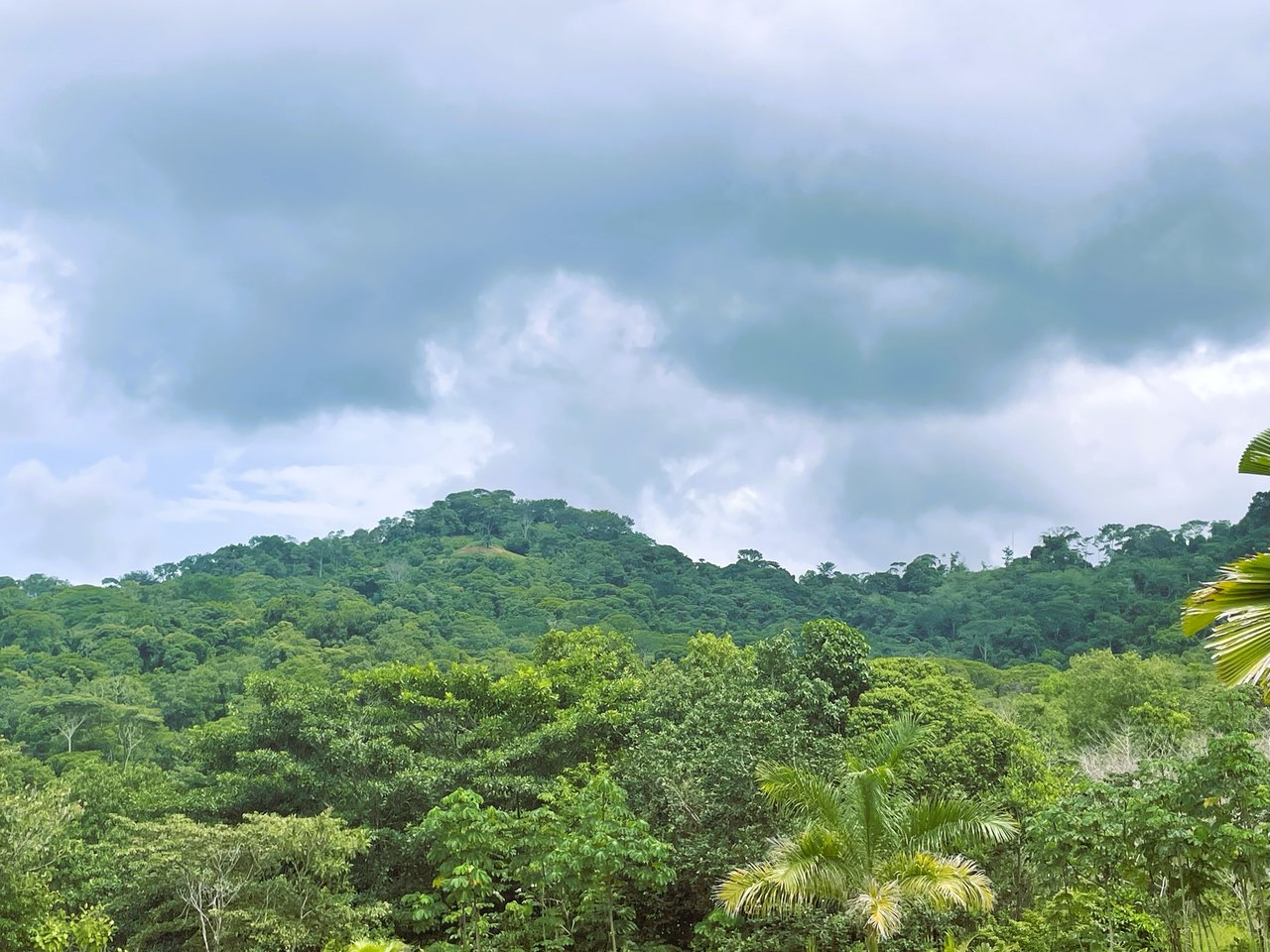 0.22 ACRES – Flat, Ready-to-Build Land with Ocean Glimpse & Quiet Community Setting!!!!