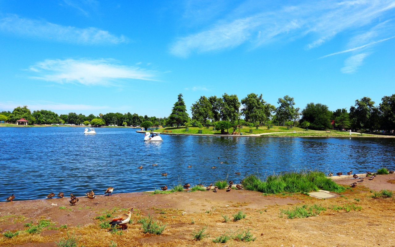 Lake Balboa