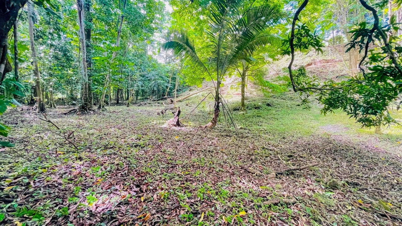 COSTA RICA LAND FOR SALE | LARGE FLAT PRIVATE PROPERTY WITH MOUNTAIN VIEWS, RIVER & FRUIT TREES