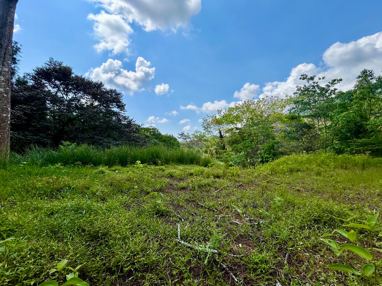 Beautiful Lot in Phase 9 Ojochal, Gated Communuity 