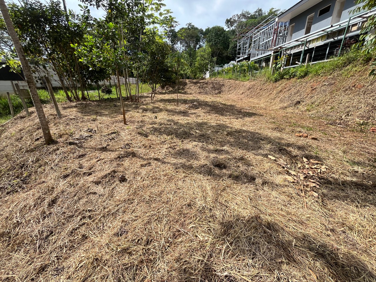 Affordable Uvita Lot UNDER $200-per-sqm - Perfect for Your Dream Home or Airbnb Investment
