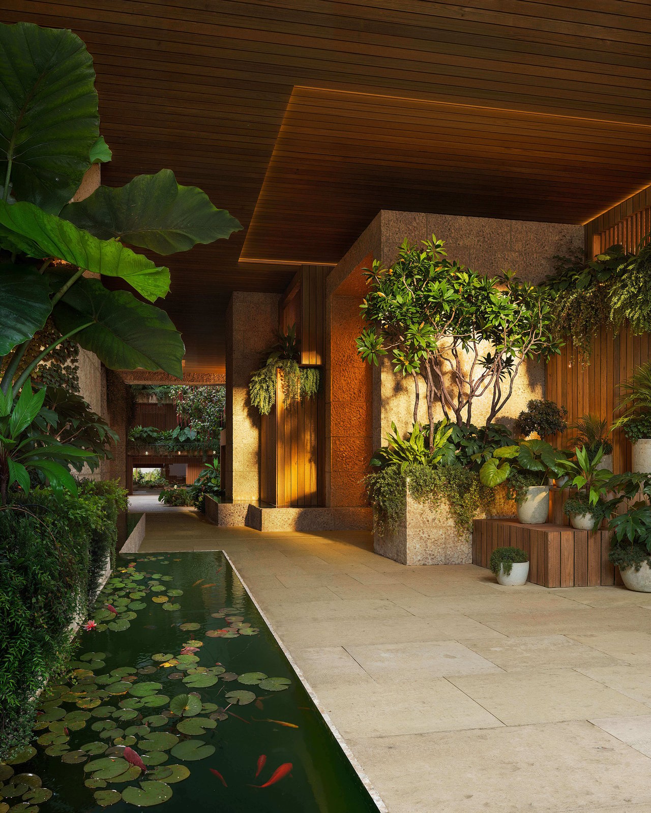 Landscaped entrance courtyard with a lily pond, tropical plants, and a warmly lit covered walkway.