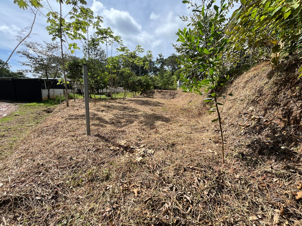 Affordable Uvita Lot UNDER $200-per-sqm - Perfect for Your Dream Home or Airbnb Investment