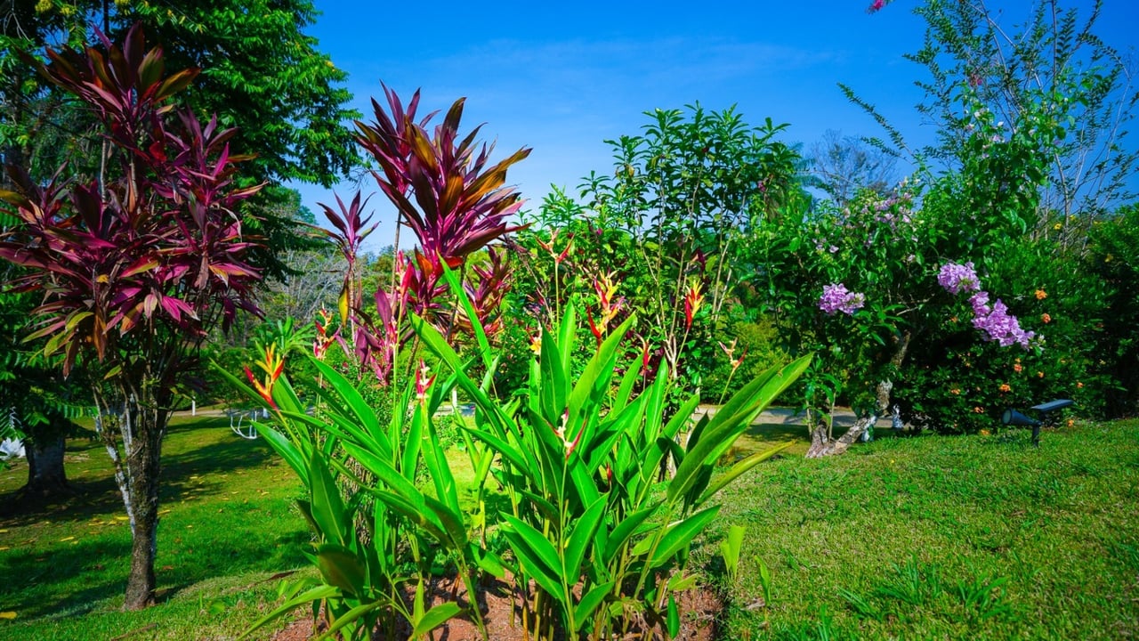 Stunning 2-Bedroom, 2-Bathroom Home with Pool on a Spacious Lot in Ojochal – Calle Papagayo