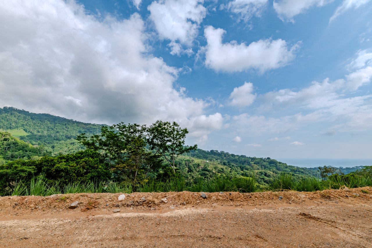 In-Demand 2.3-Acre Ocean View Homesite with Whale Tail Views | San Josecito
