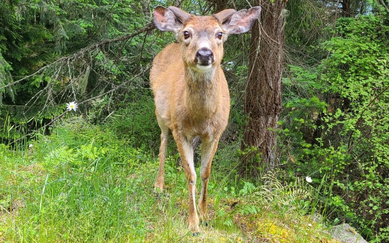 The Secret to Selling This Spring: Start the Prep Work Now