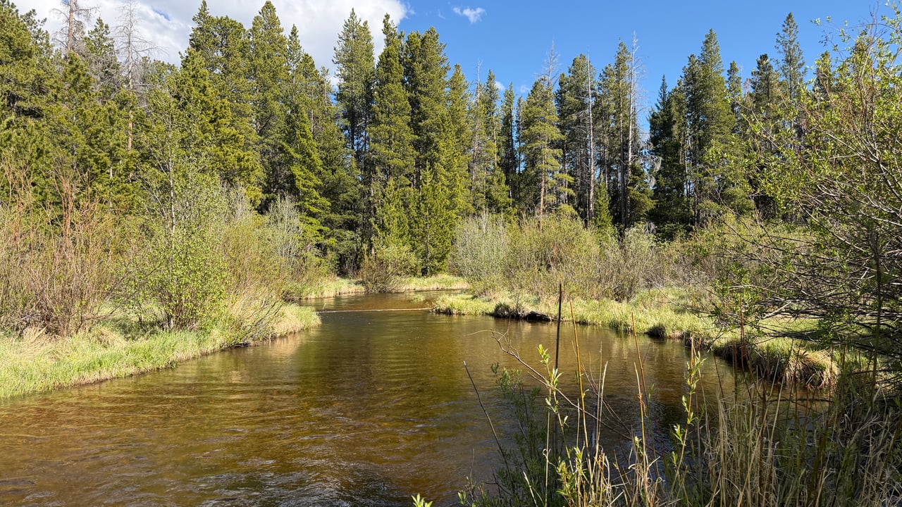 Into the Wild: Discovering Rocky Mountain National Park with Monica