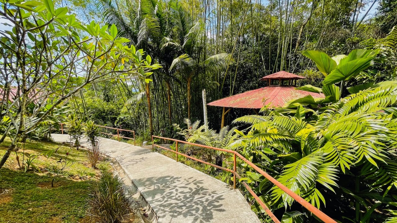 Valley of Dreams - A Beautiful Multi-Use Property Near Cacao Ridge, 10.85 Acres at a Phenomenal Price!