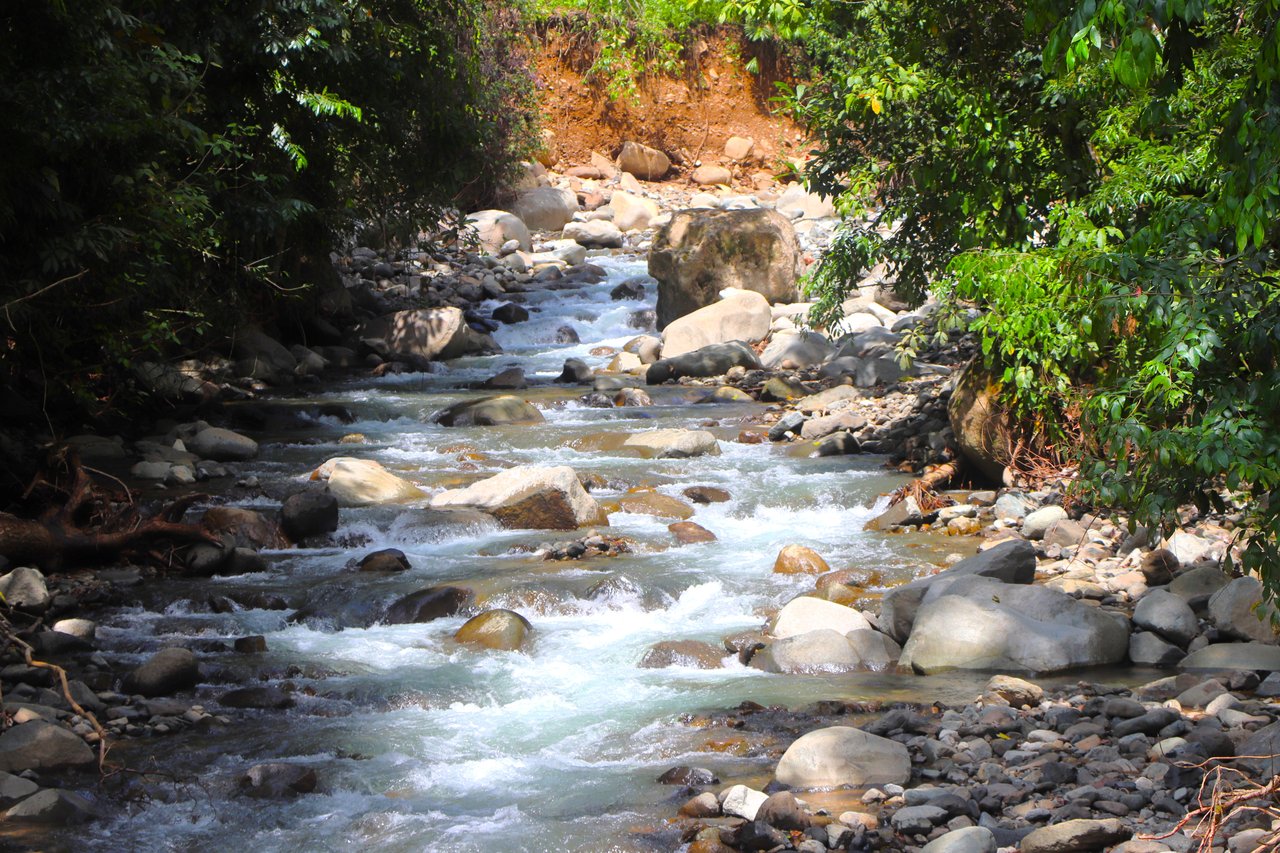 FIRE SALE! Jungle, Rivers, a Waterfall and Panoramic Ocean View