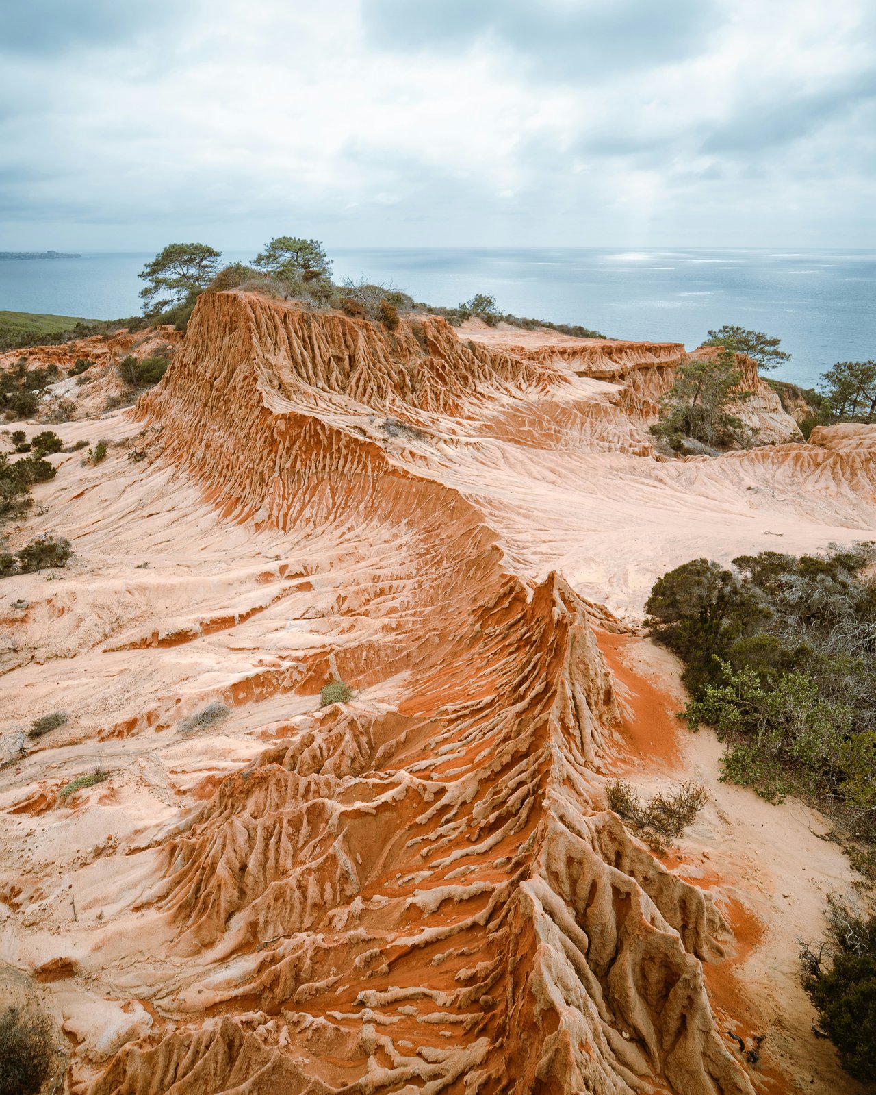 Market Update | Oct 30