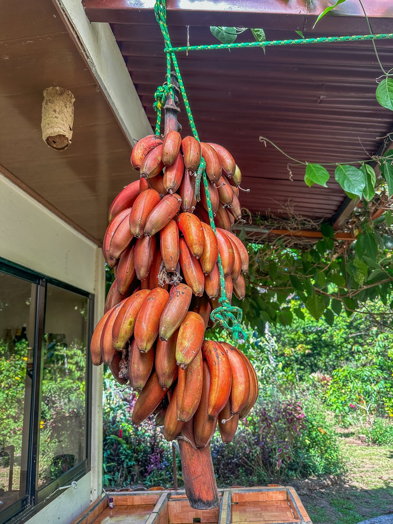 Tinamastes Costa Rica Property with Home, Yoga Deck & Land