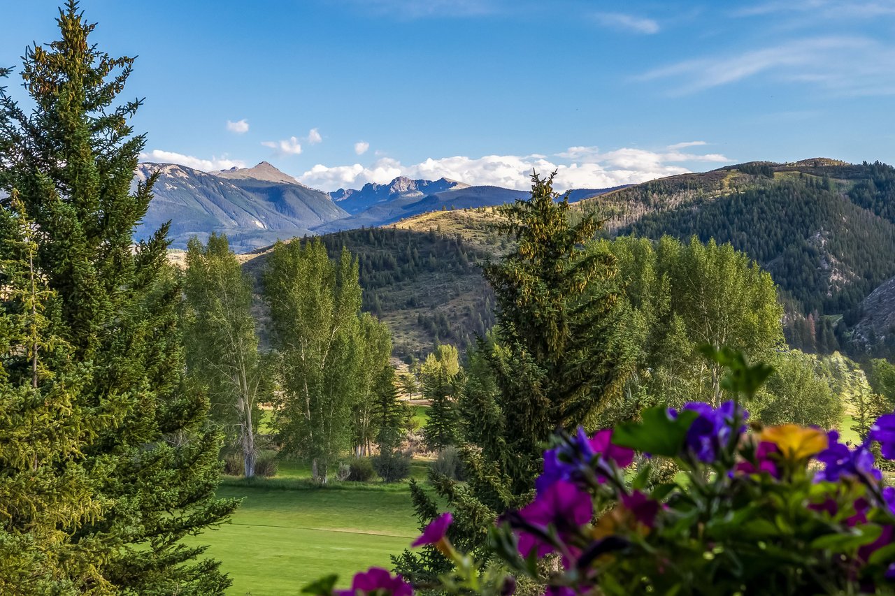 1372 Beard Creek Trail
