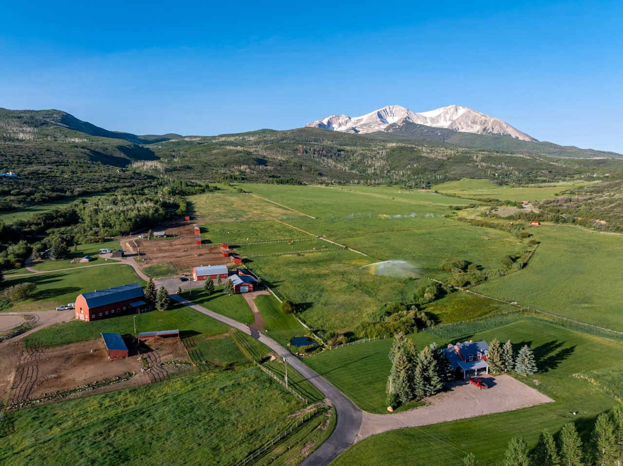 Mary Kate’s Aspen Market Intelligence — August 2026