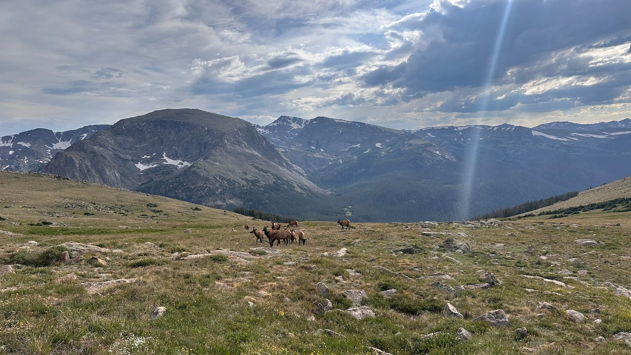 Where the Road Meets the Sky: Driving Trail Ridge Road