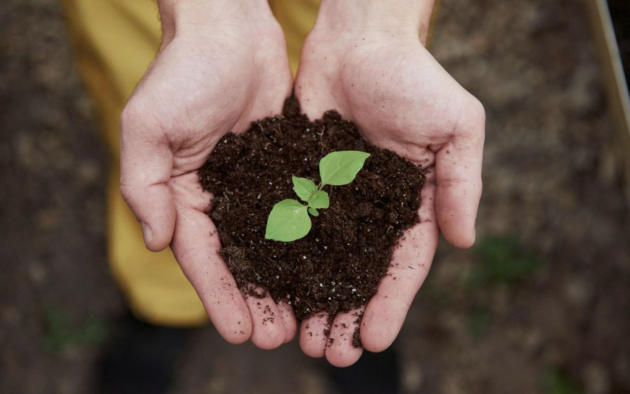6 Cost-Effective Best Ways to Make Your House More Energy Efficient