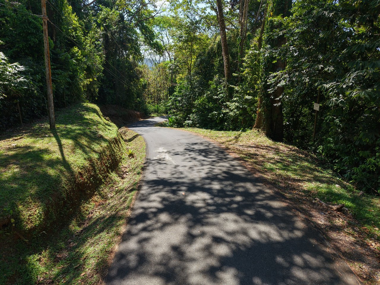FINCA SAN JOSECITO | Prime 20-Hectare Ocean View Property for Sale in Uvita, Costa Rica