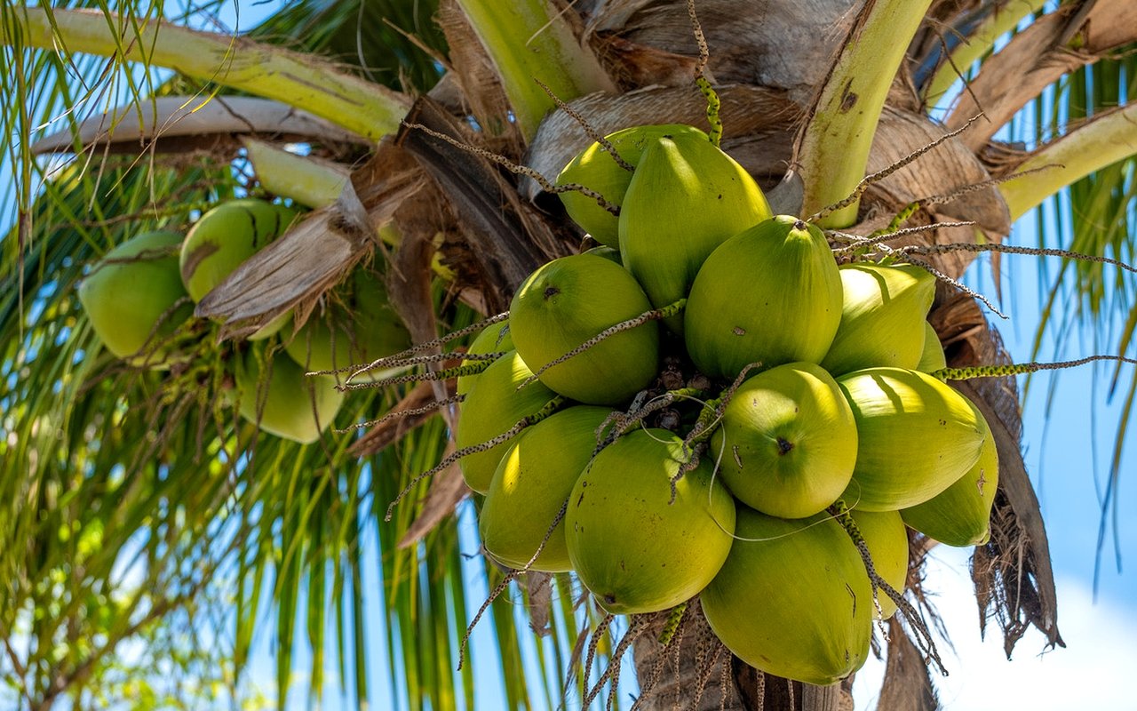 Islamorada Through the Seasons: Home Maintenance Tips