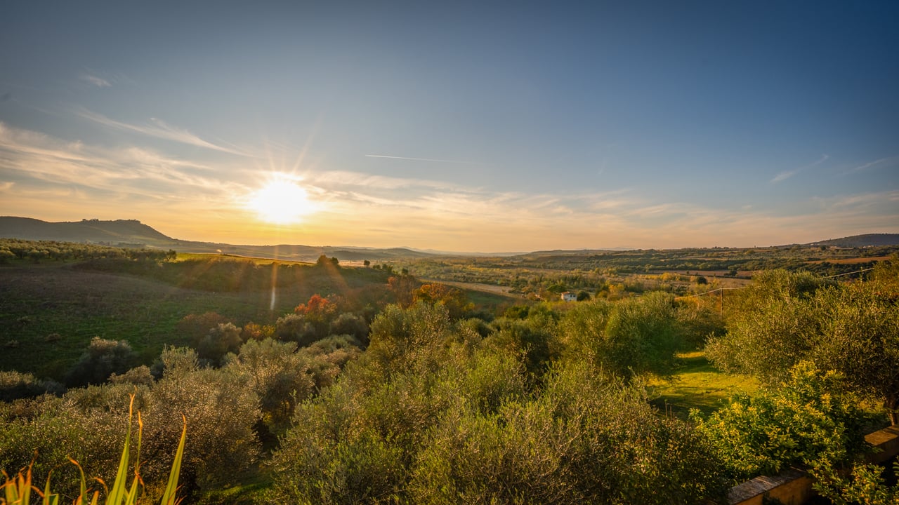 POGGIO COLOMBA
