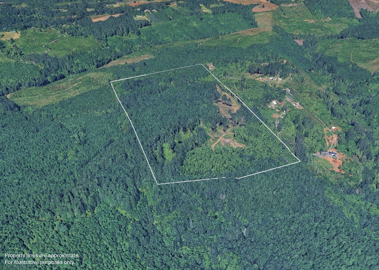 Marion Woods - Auction