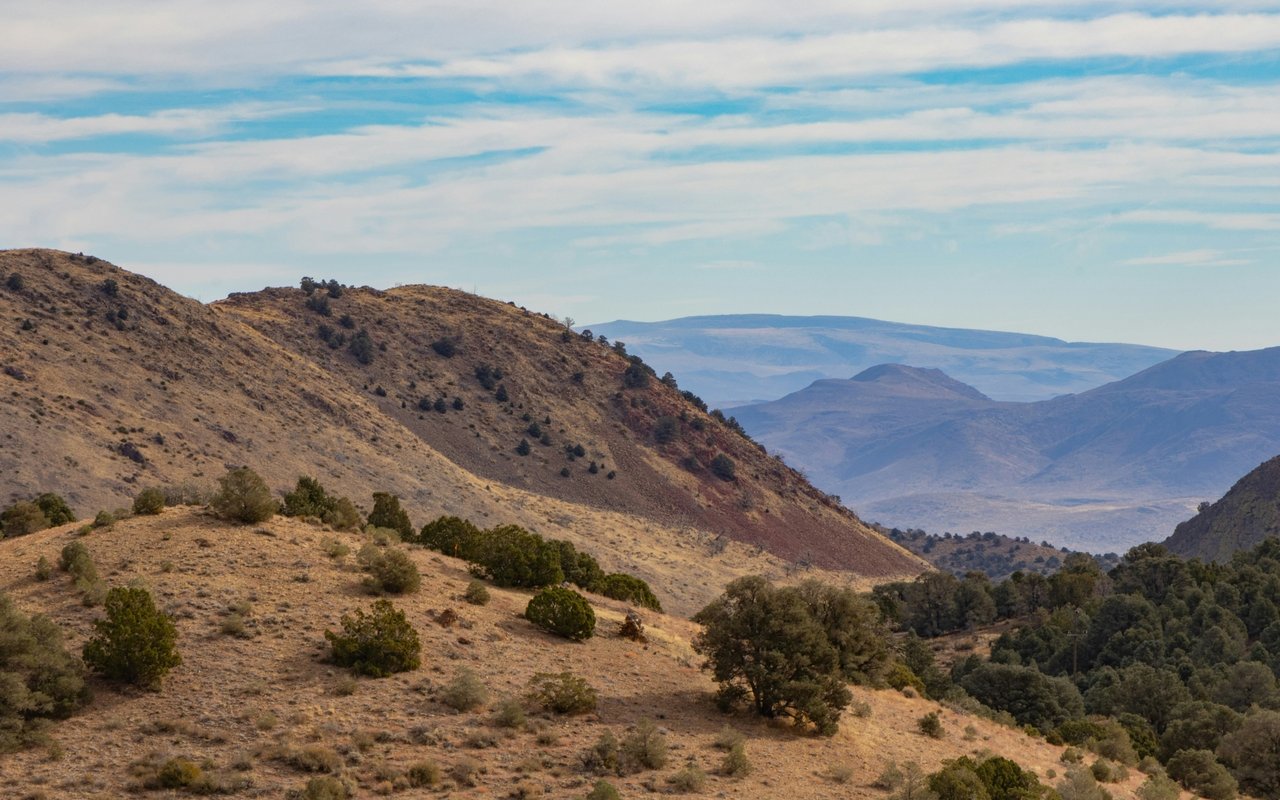 Spanish Springs (General)