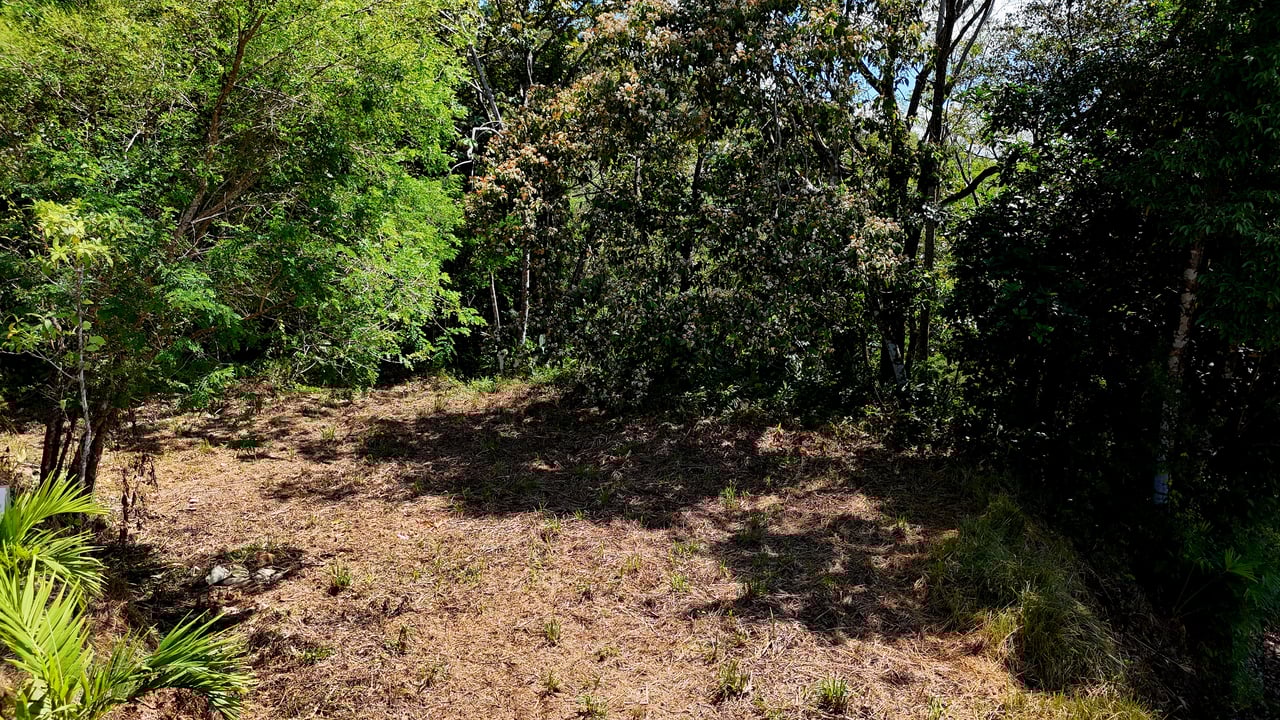 Ocean View Property with Plantel and Trails in Hatillo – Ready to Build