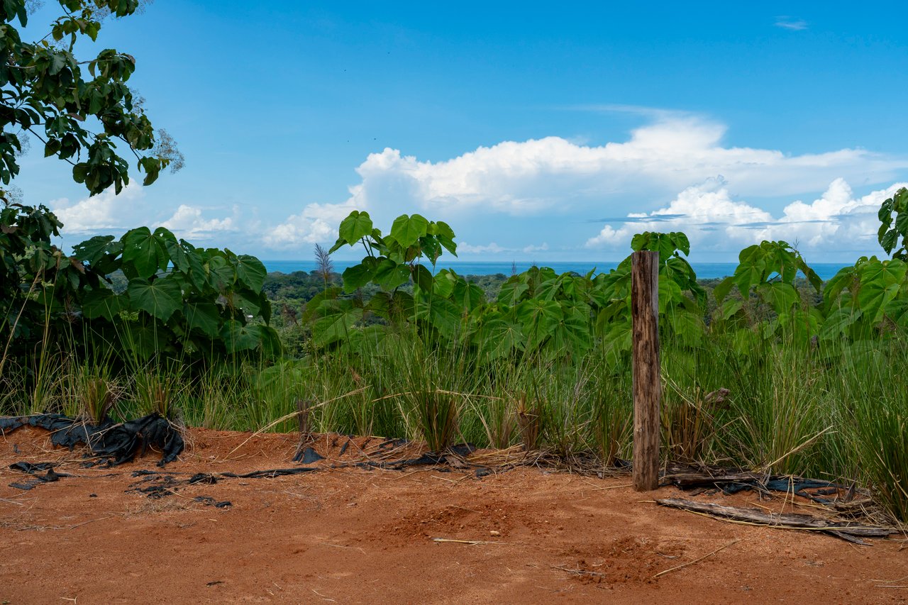 ¡New Gated Development in Matapalo - Ocean View and Flat Land, ready to build!
