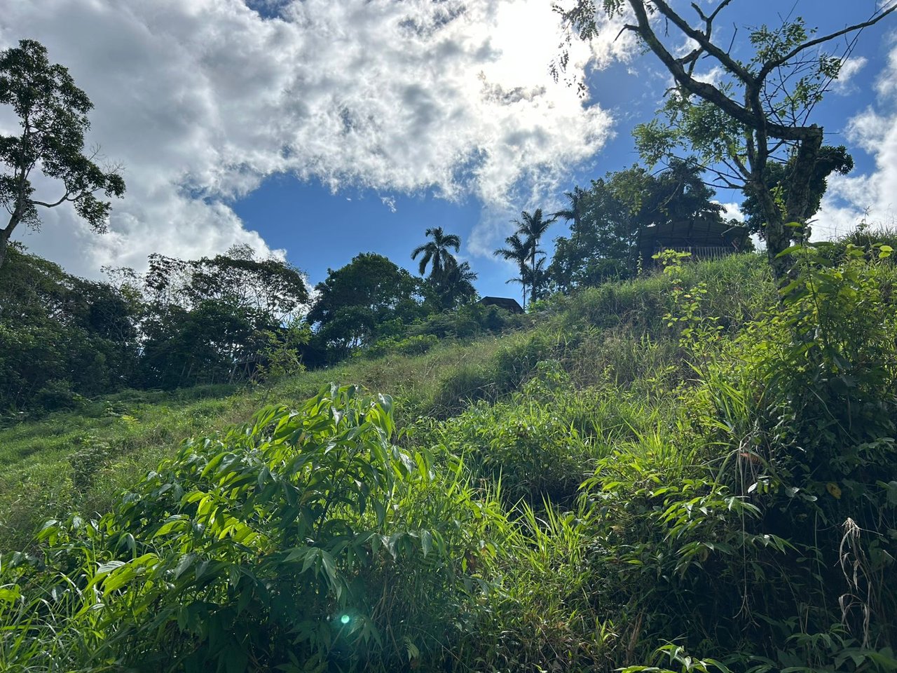 10-Acre Waterfall Farm with Amazing Valley and River View in San Isidro.