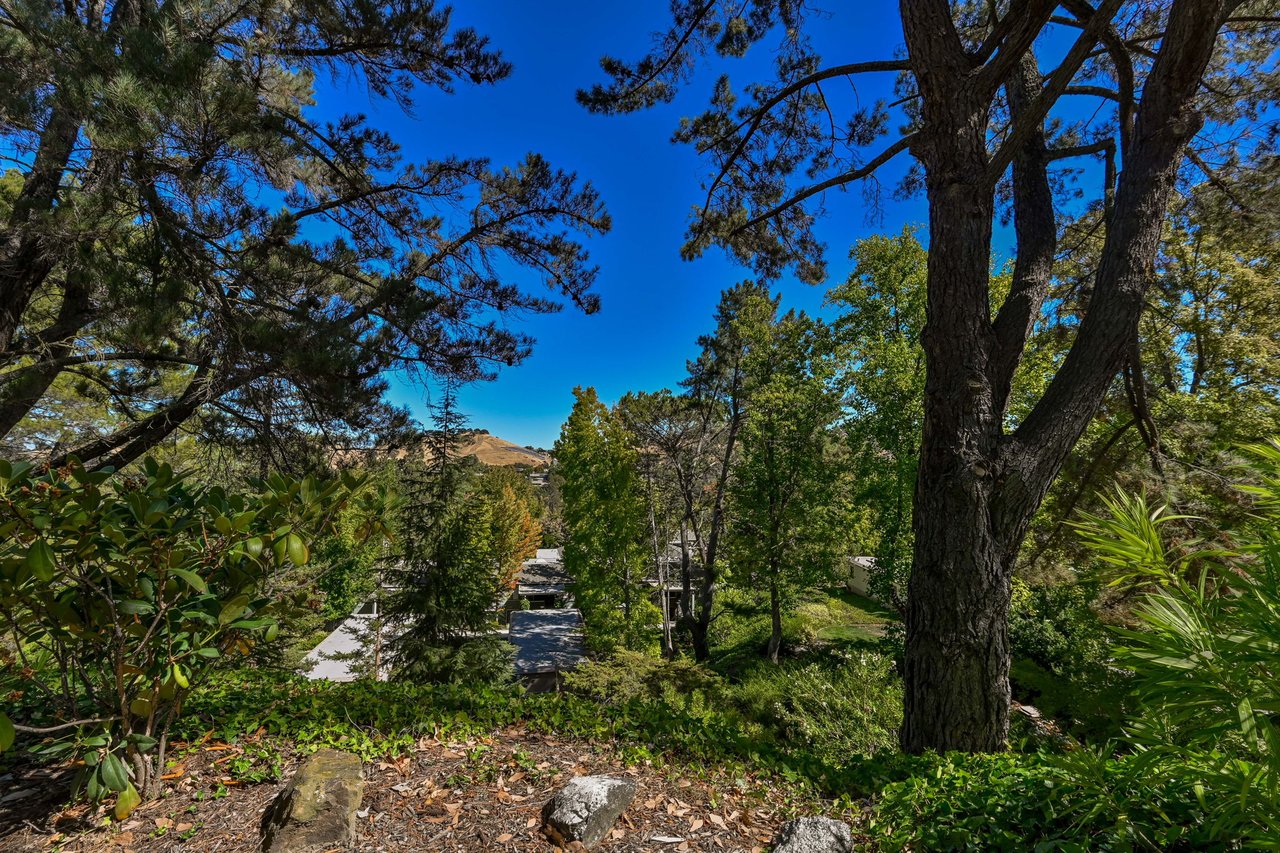 1332 Running Springs Rd. #2, Walnut Creek