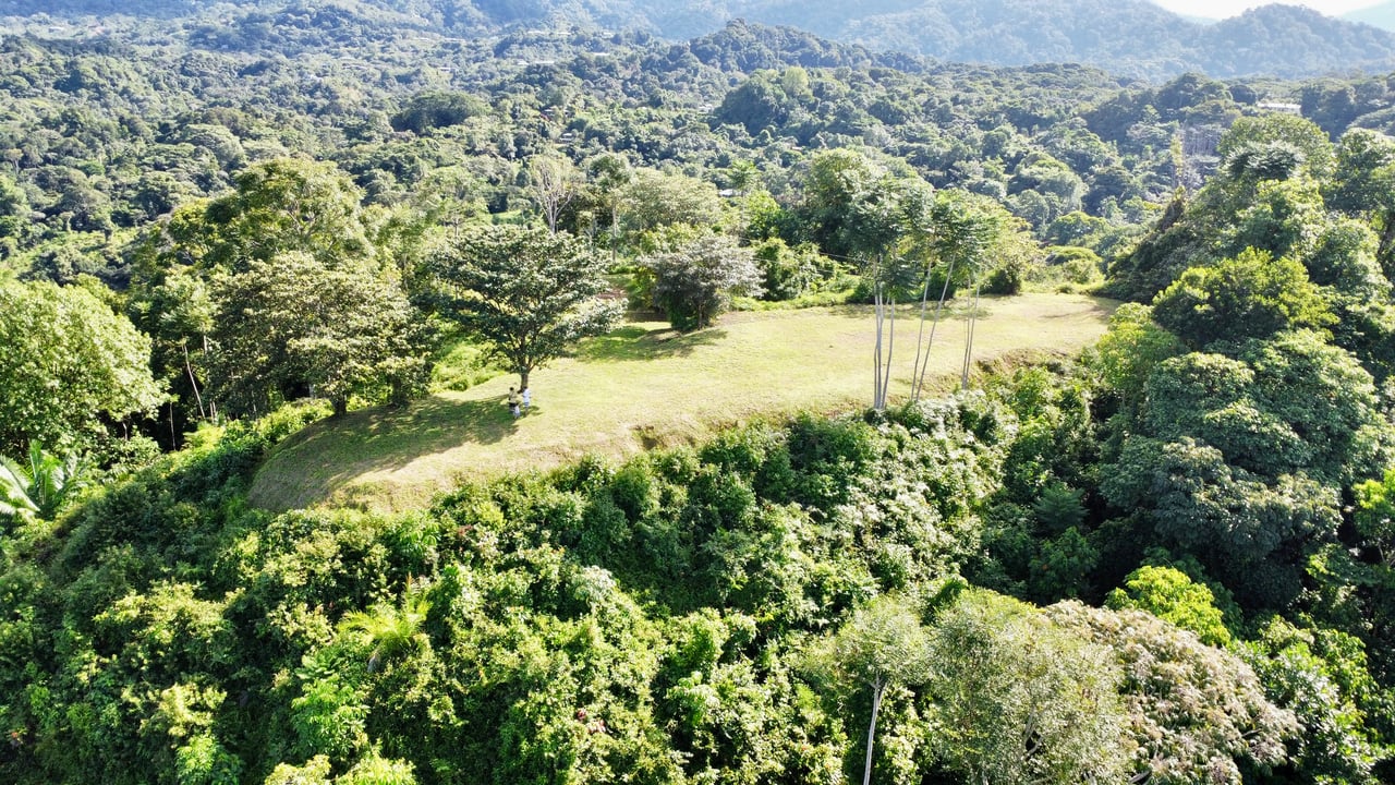 3.41 Acres, Ocean View Property In Ojochal With Legal Water!