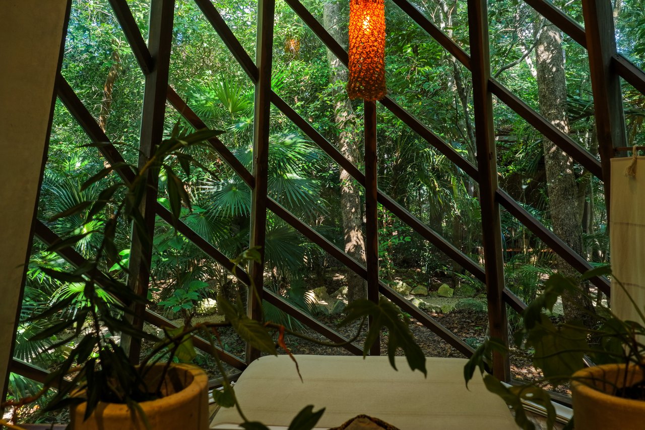 SELVATIK JUNGLE PODS 