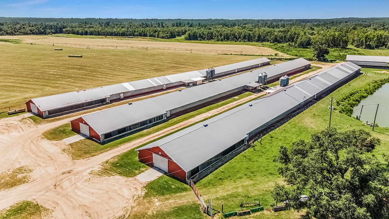 Poultry Houses