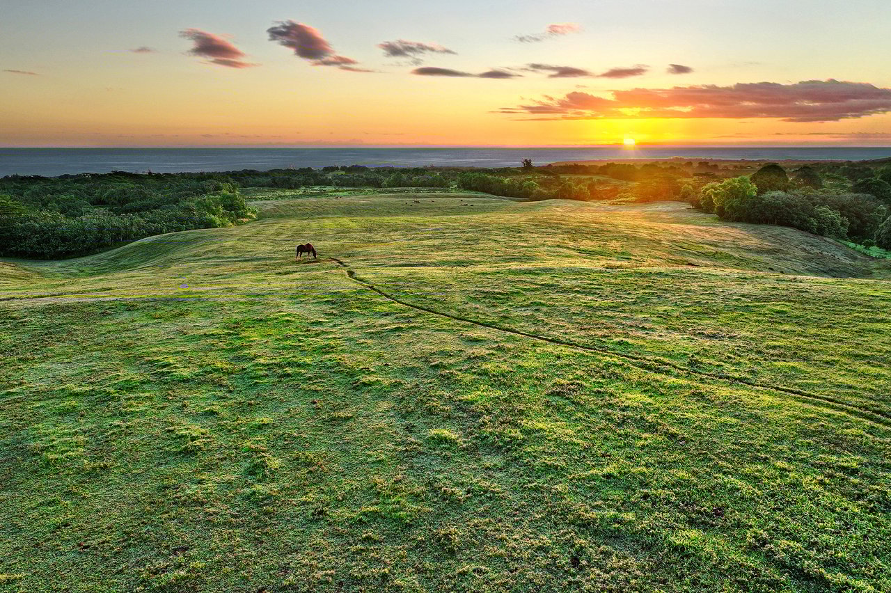 Exceptional 31.96-Acre Estate Parcel on the North Shore of Kaua’i