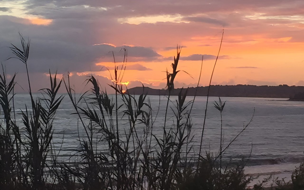 Sunset over calm water, framed by silhouetted reeds beneath pink and orange clouds.