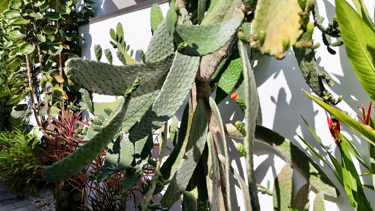 Walk-to-Everything Uvita Retreat | 3BR Home Minutes from the Beach