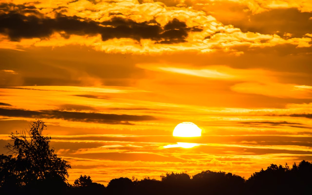 New Dawn, New Day and So Much to Look Forward To