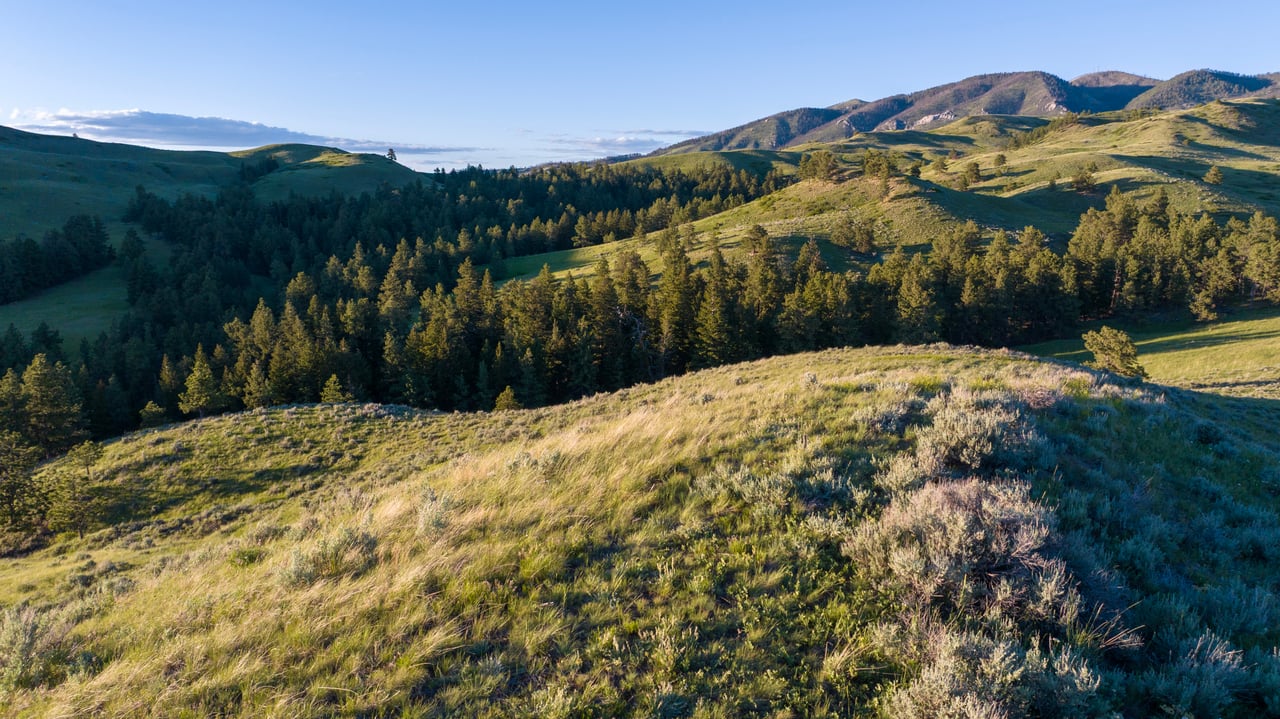 Big Spring Legacy Ranch