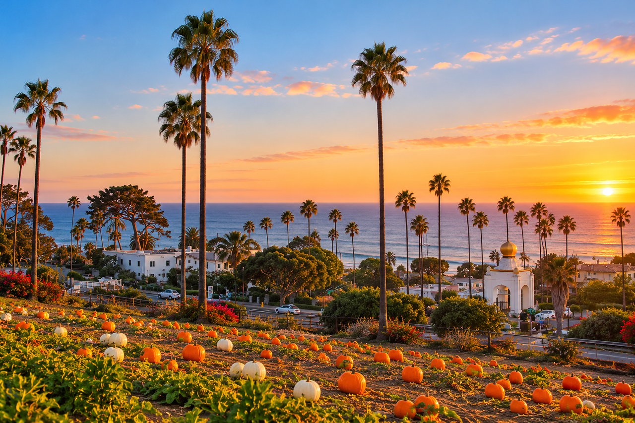 Coastal sunset over palm-lined homes, with a pumpkin patch in the foreground.