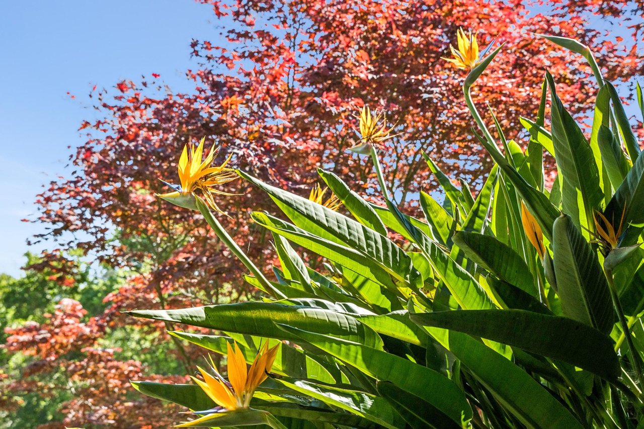 10 Maoli Drive, San Rafael