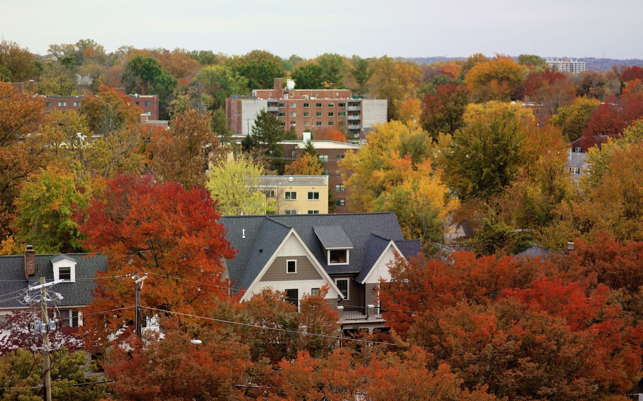 Montgomery County