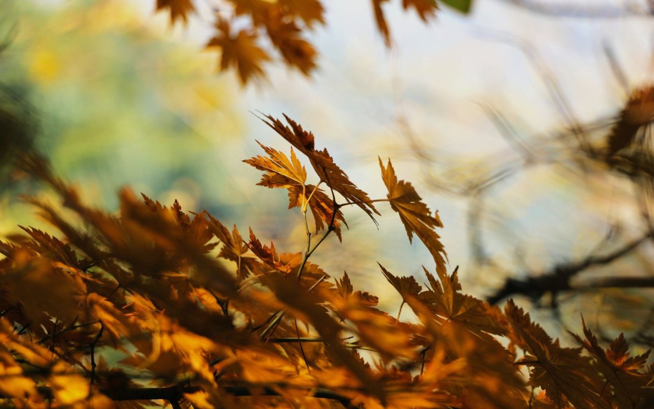 10 Fall Home Maintenance Tips