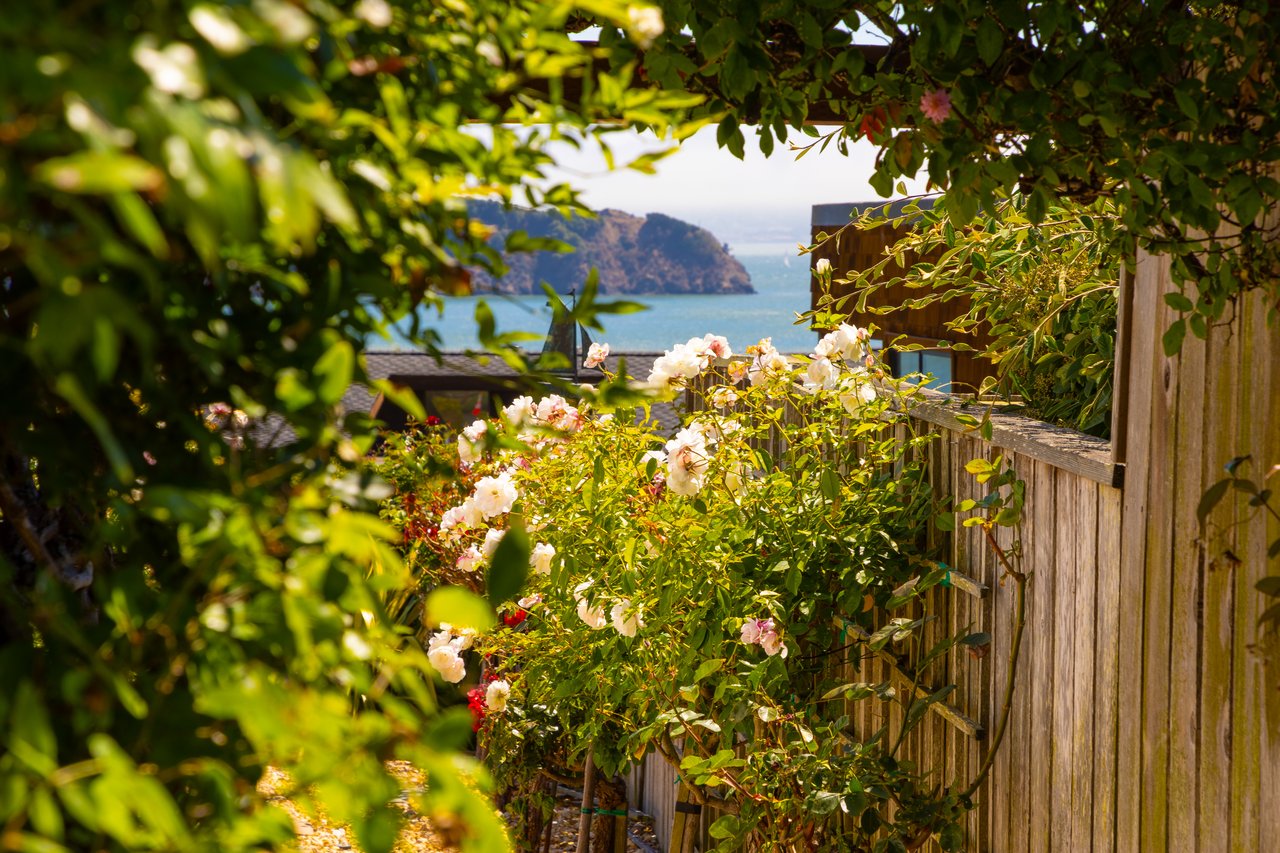 Picturesque Views of Angel Island and the Golden Gate Bridge