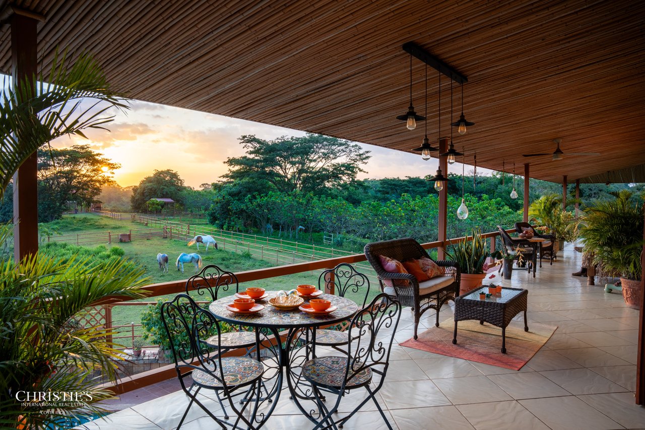 Finca Sweet Prince – A Private Equestrian Estate of Unmatched Elegance