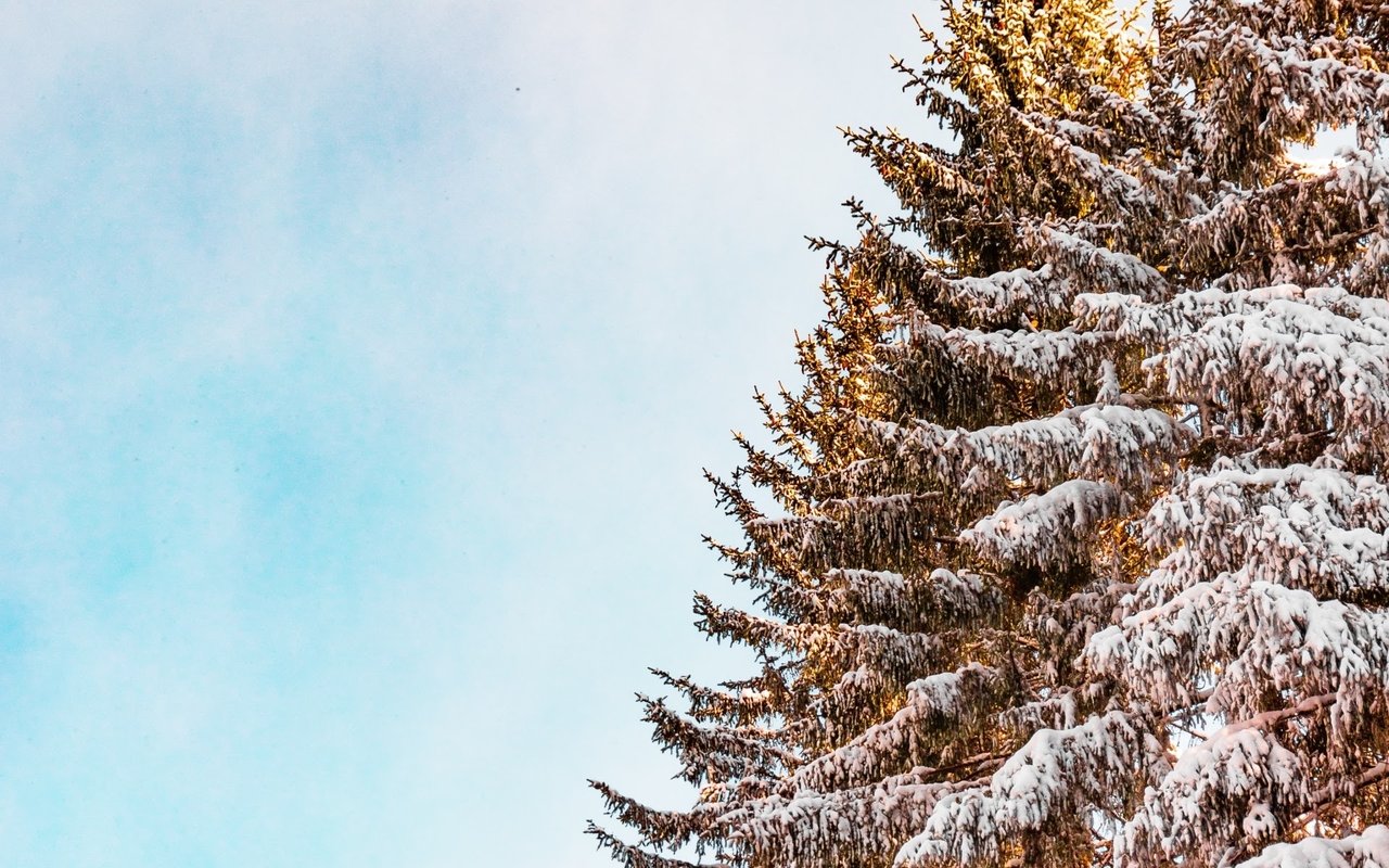 11 Reasons to List During the Holidays