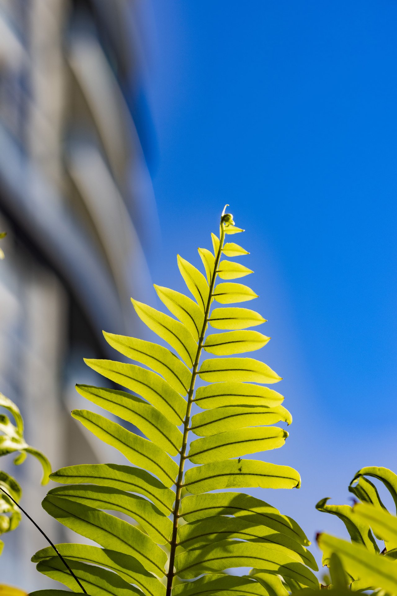 Mondrian Hallandale Beach Residences