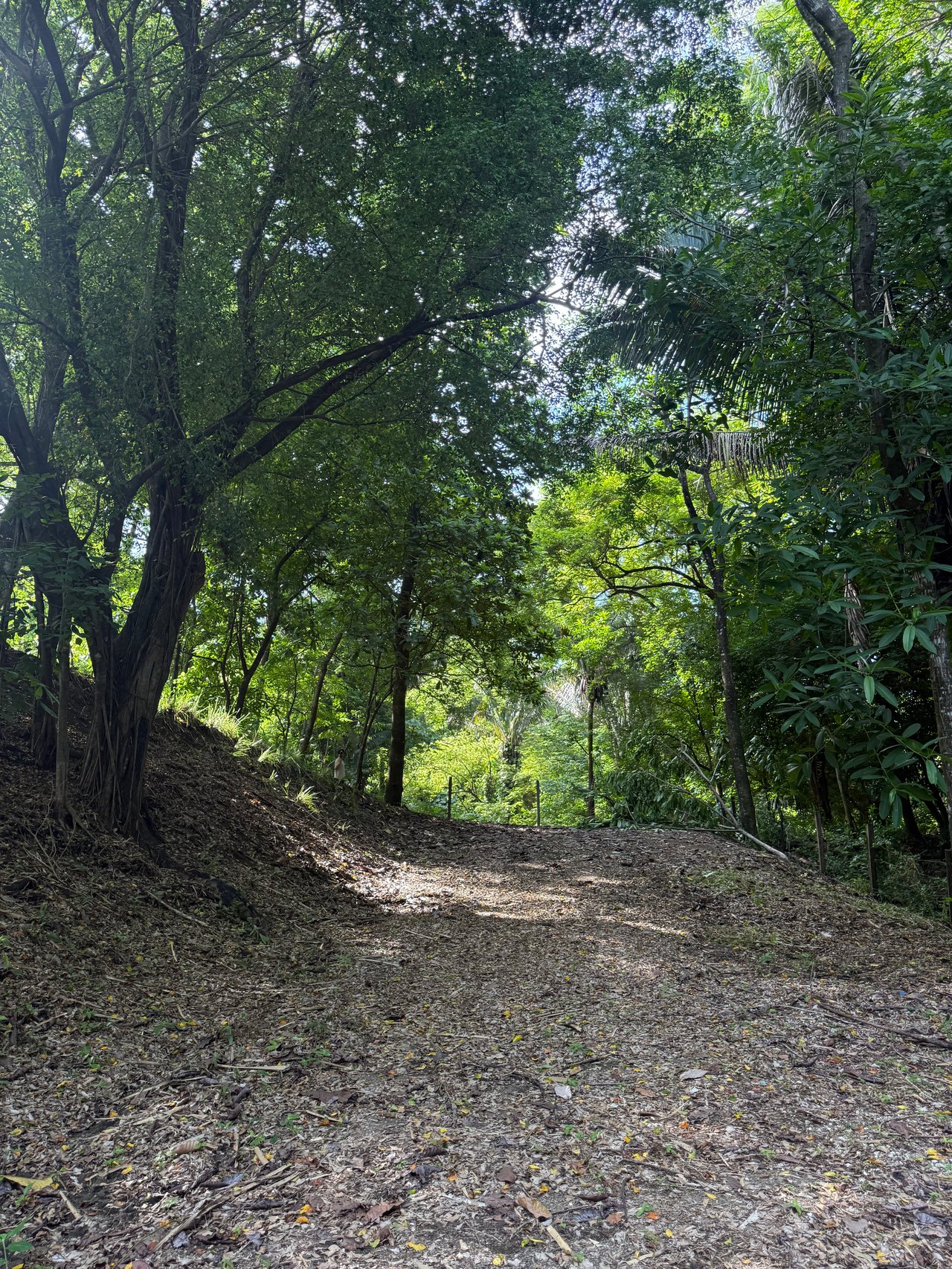 Lote en Nosara , Nosara, Guanacaste