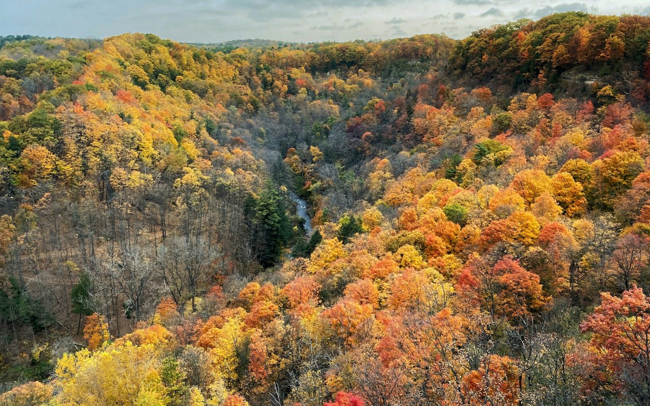 East Flat Rock