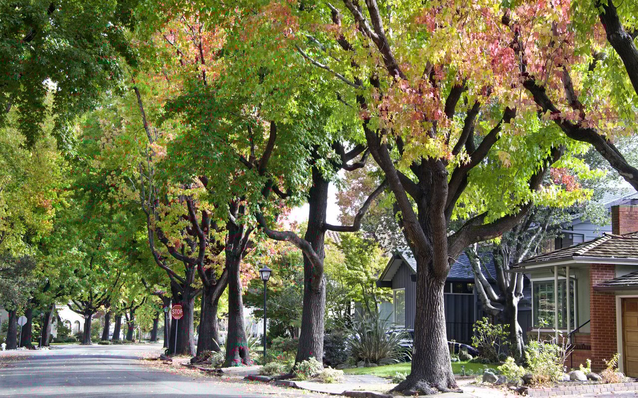 Thank You for Helping Us Give Back This October!