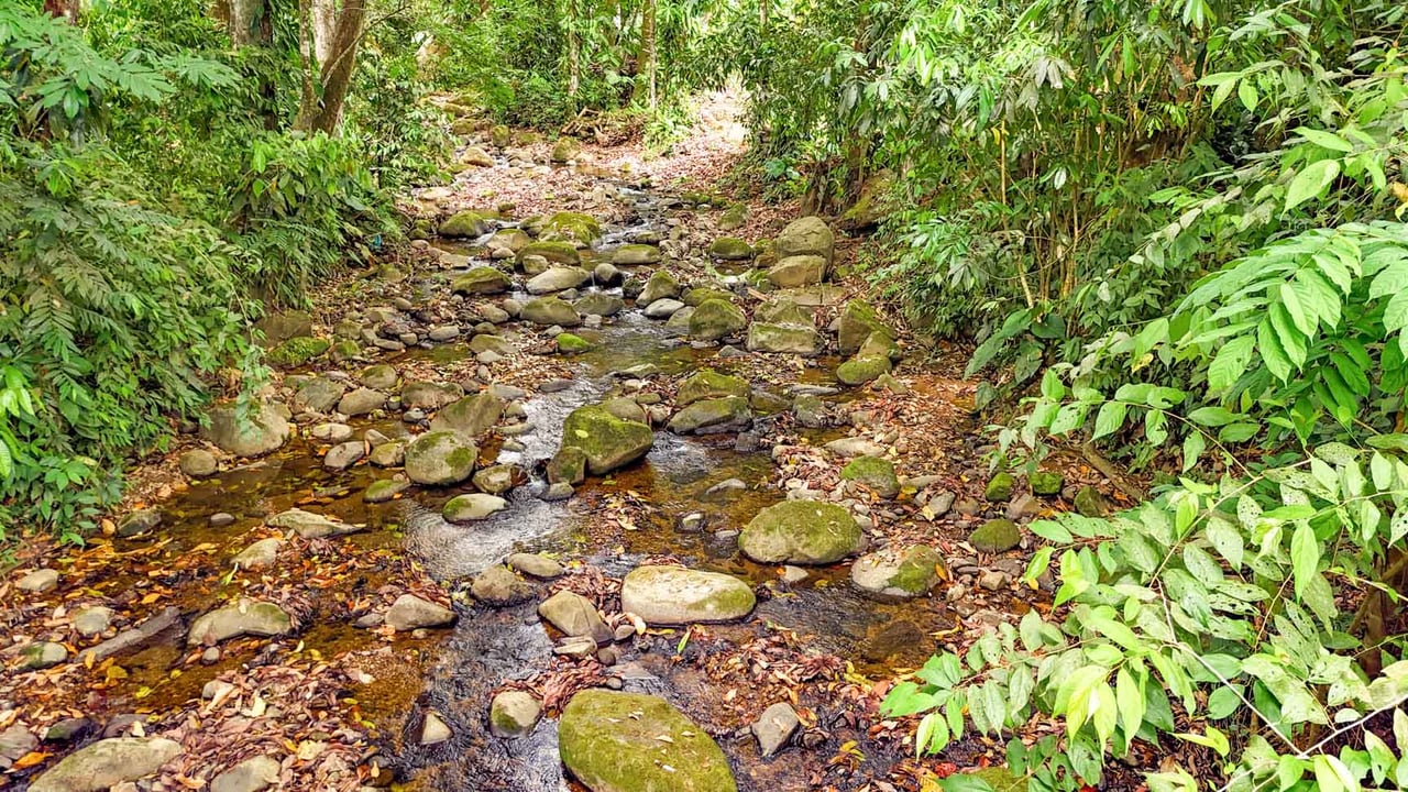 3-Bed Home on Calle Principal Ojochal with River & Jungle